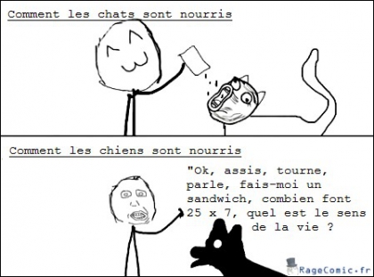 Blague Derp: Chats/chiens