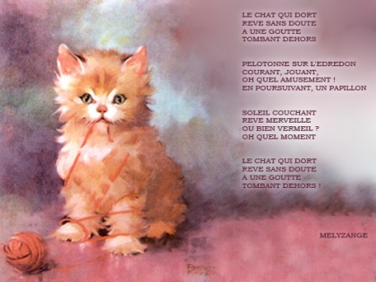 un poeme pour les chats