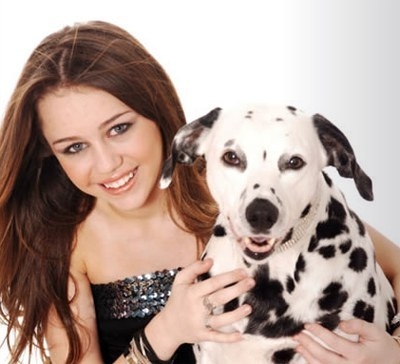 Miley and chien
