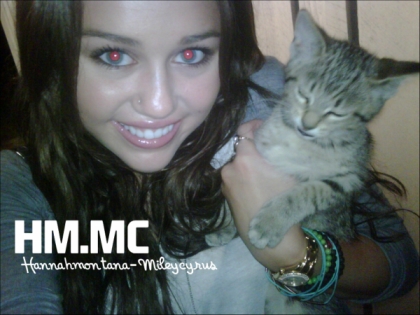 Miley Cyrus:un fan menace de tuer son chat si elle ne revient pas sur son Twitter