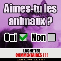 Aime tu les animaux 