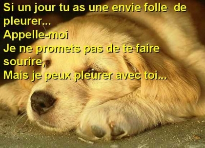 toujours l pour toi!!