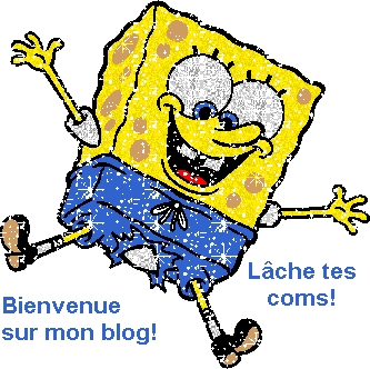 bienvenue a mon blog