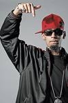 la fouine  