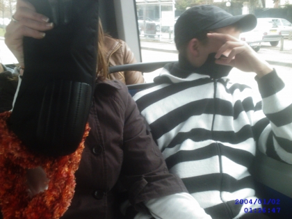 voici mes plus belle photos