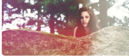 ○ Concours de life is joke ○