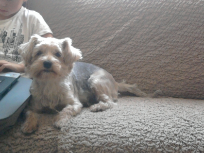 et voici ma ptit kelsy 