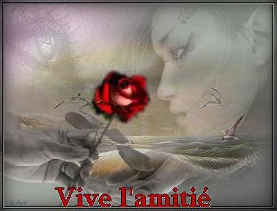 vive l'amiti� !!