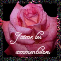                                                                 commentaire