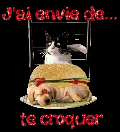 les chats