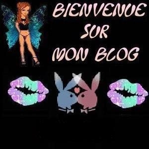 Bienvenue sur mon blog