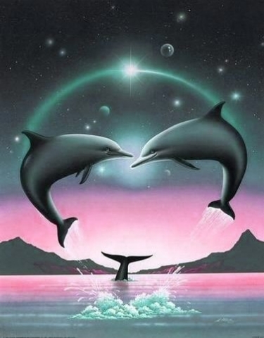 les dauphins!!