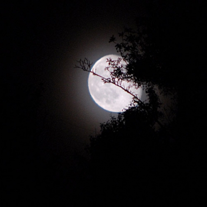 la lune