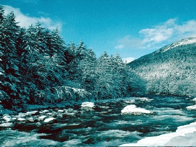 belle nature neige!!!