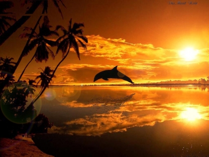 coucher de soleil trop beau!!!