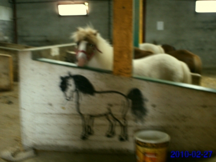 Muret,un Super Centre Equestre