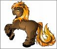 poney