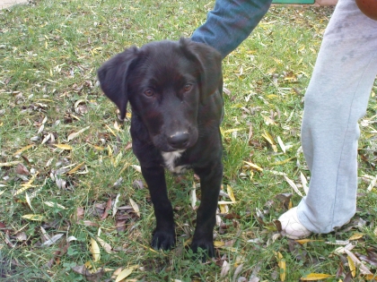 Histoire �mouvante