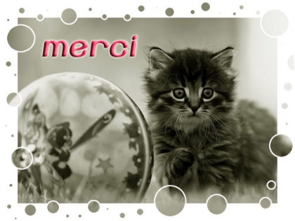 merci