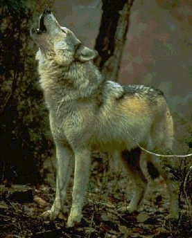 aaaaaaaaaaaaaooooooooooouuuuuuuuuu