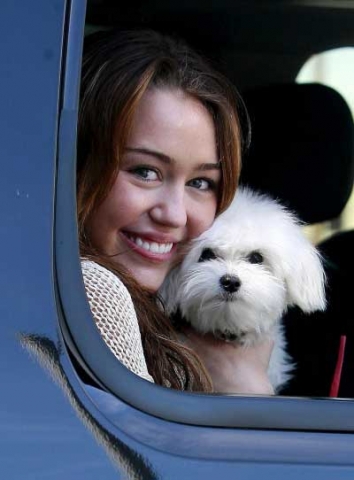 le nouveau nounou de miley