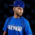 la fouine