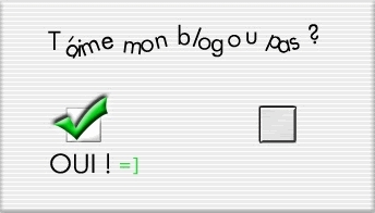 blog oui ou nn