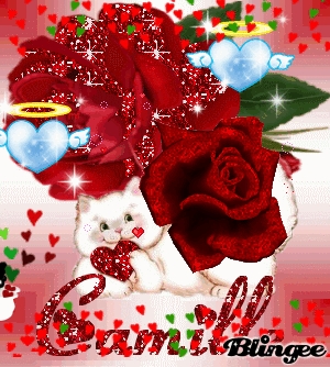 Ma meilleure amie Camille !