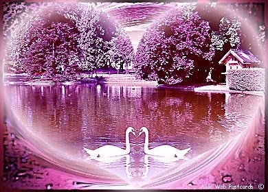 les canare de chance poure mounira