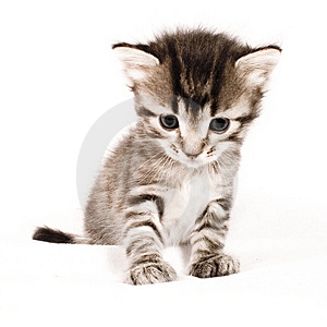 mode de l'ancien temps