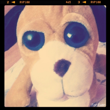 Mon ours en peluche♥