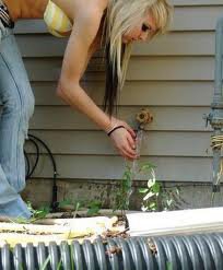 me...AMEL-XD-FLIKA...