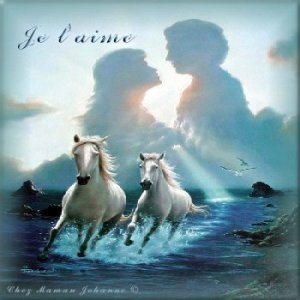 pour vous les couples****