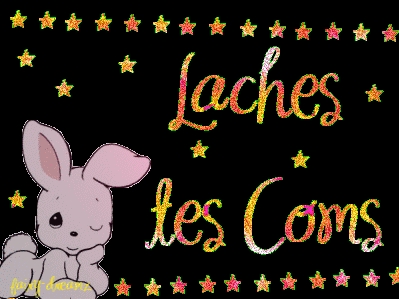 me lacher des commentaire