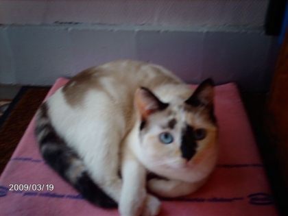 Sa ninette ma picrounie ^^