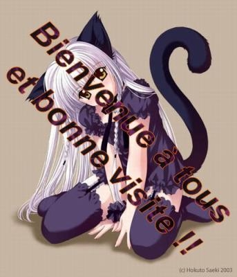 bonne visite sur mon blog MANGA^^