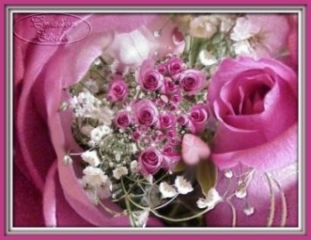 fleur rose!!!!!!!!!!!!!!!!