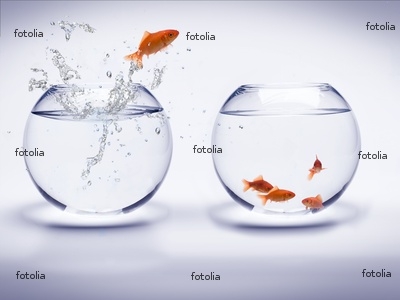 poisson!!!!!!!!!!!!!