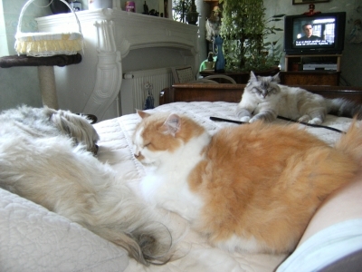 Expression et blague B=blague E=expression