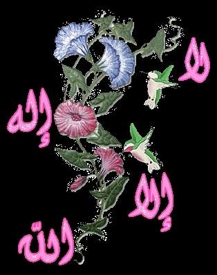 ellehe akber