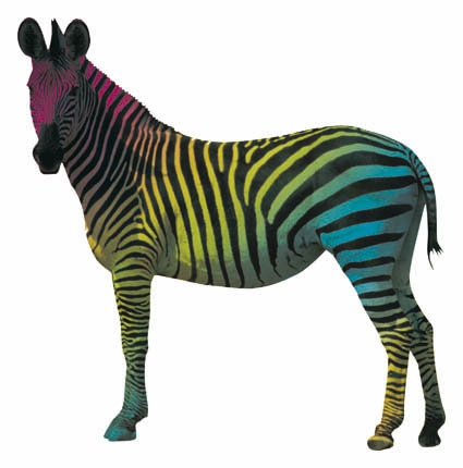 le top de la collection!!!!