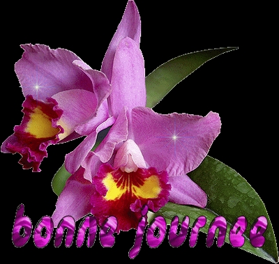 emmmmm les fleurs j'adore