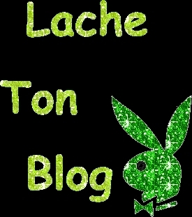 Lache ton blog
