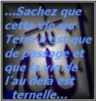 SACHEZ QUE ...........