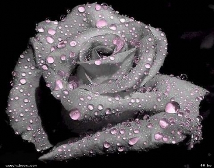 MON GRRAAANND RETOUR..HAHA ^^