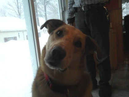 Sa c Mon chien Becky!!!