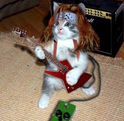 Le chat rockeur