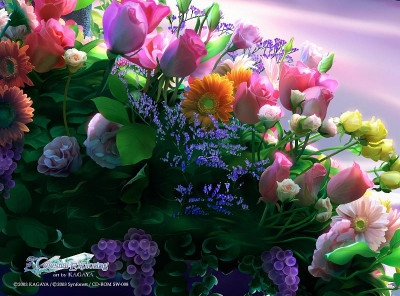 pour mes nouvelle copines