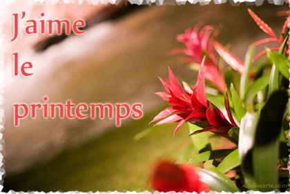 j'aime le printemp