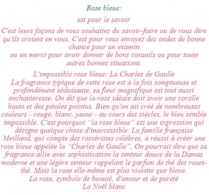 roses bleu